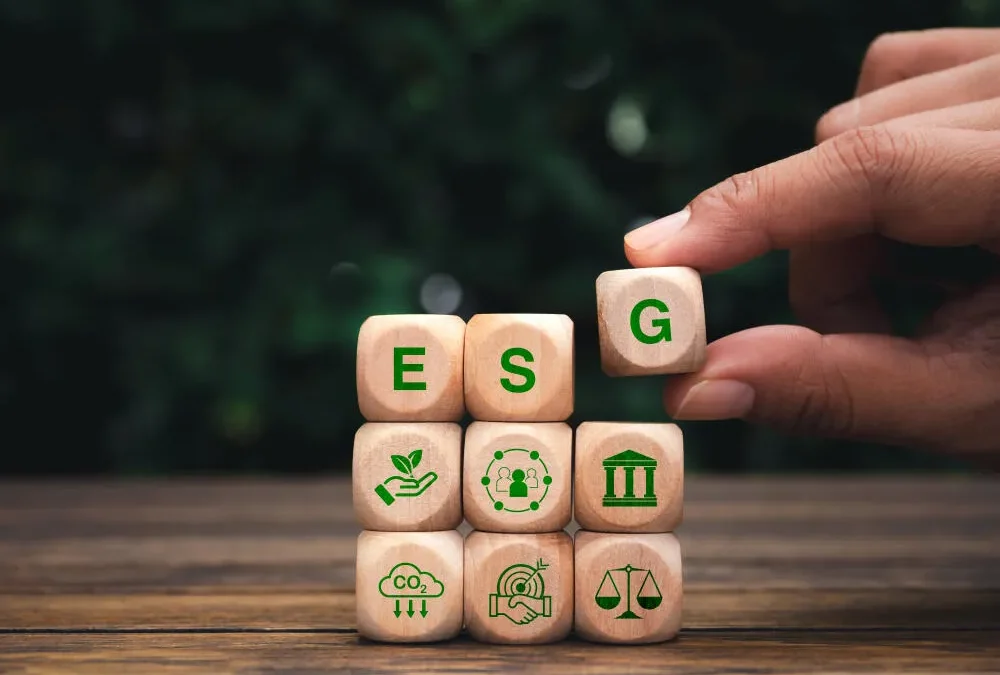 Tudo sobre ESG: boas práticas socioambientais e de governança de uma marca