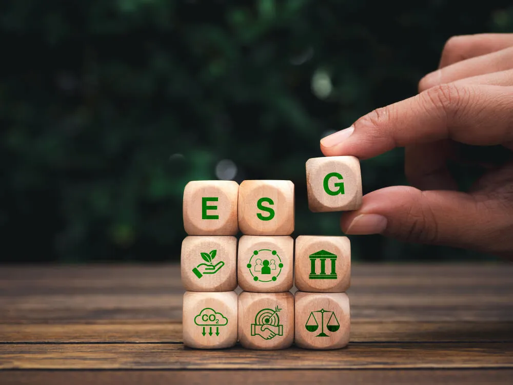 Tudo sobre ESG: boas práticas socioambientais e de governança de uma marca